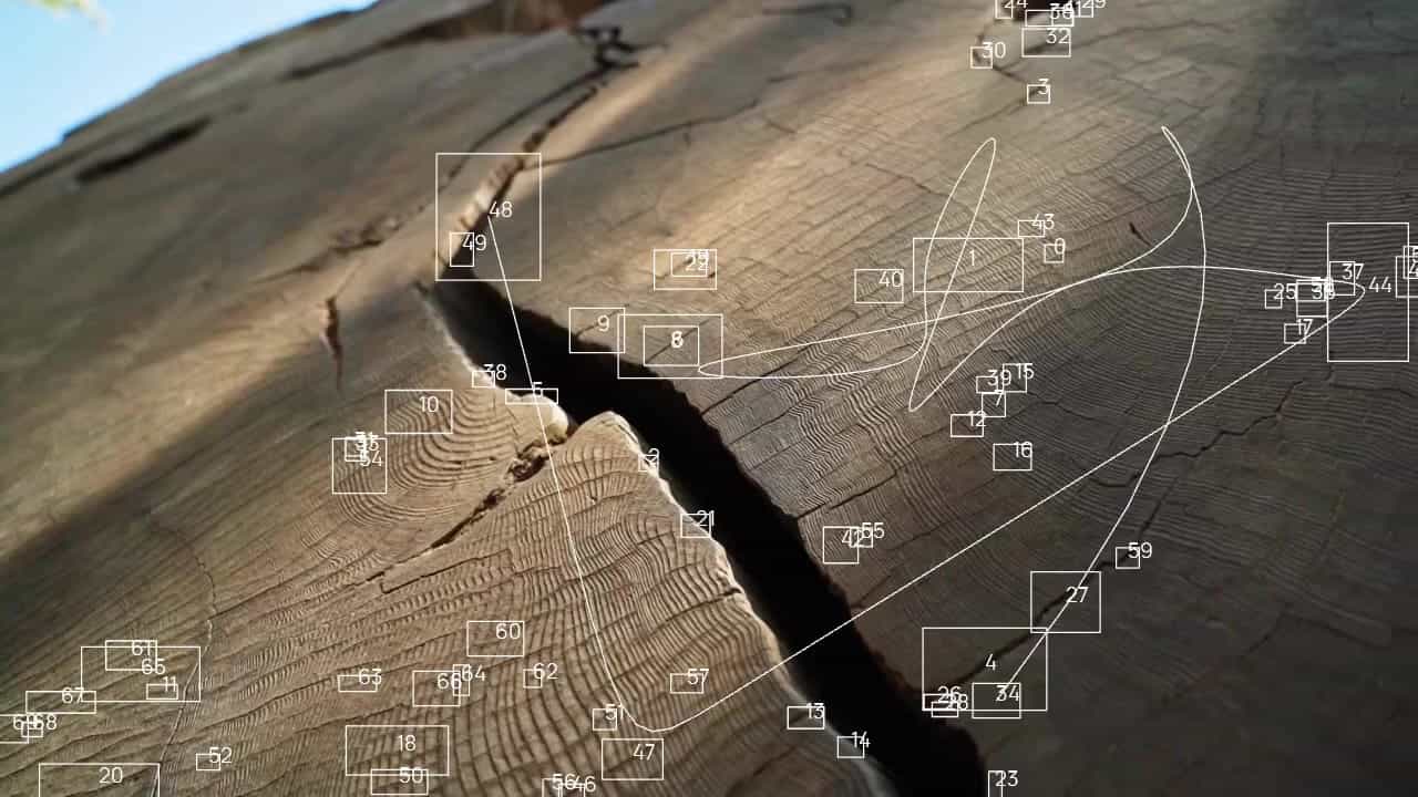 Digital research preview
